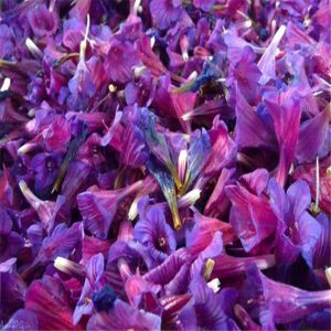 گل گاو زبان اعلاء