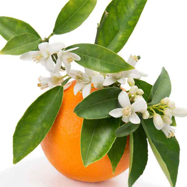 شربت بهار نارنج اعلاء