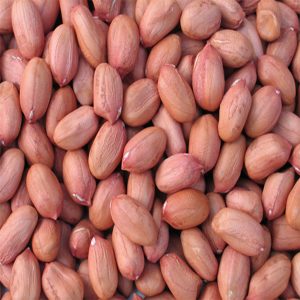 بادام زمينی