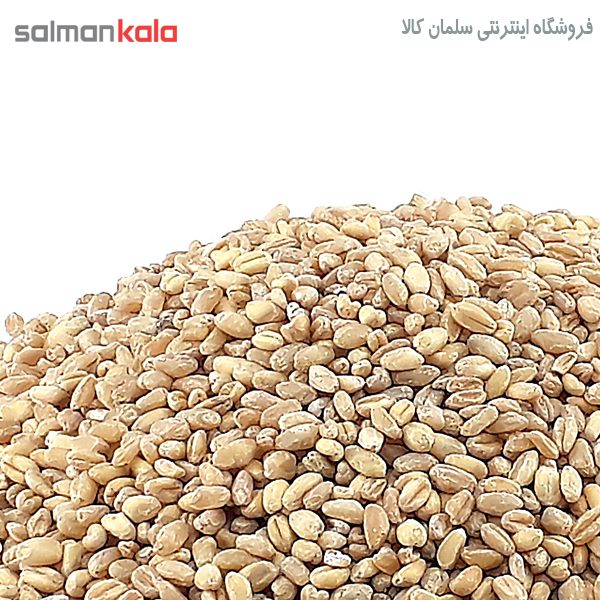 Wheat for Halim گندم مخصوص حلیم