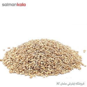 Wheat for Halim گندم مخصوص حلیم