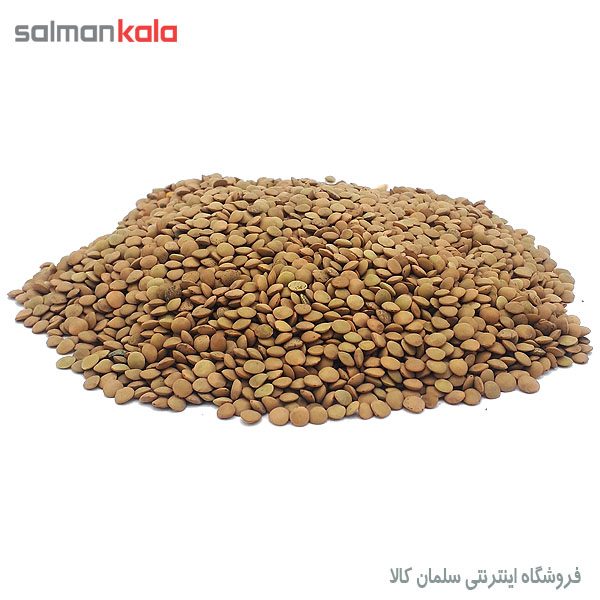 عدس ریز خارجی