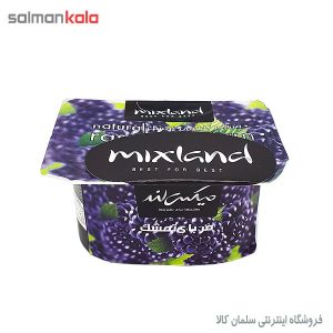 مربا تمشک میکس لند 225 گرم