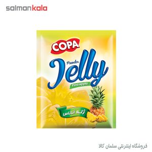 پودر ژله 100 گرم کوپا در طعم بندی مختلف