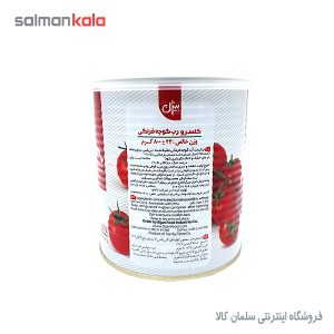 رب گوجه فرنگی 800 گرم بیژن