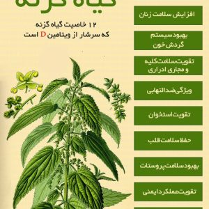 گياه گزنه